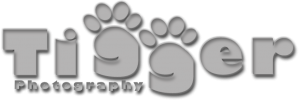 Tigger9